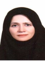 Nikta Hatamizadeh